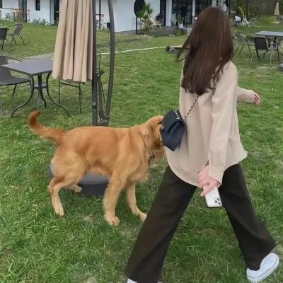 皇上保重粤语